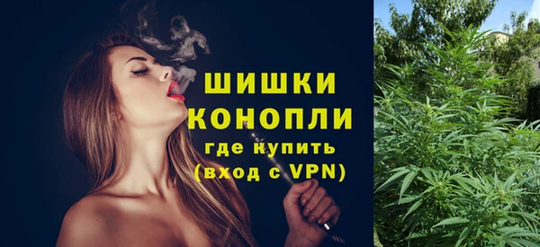 сатива Тольятти