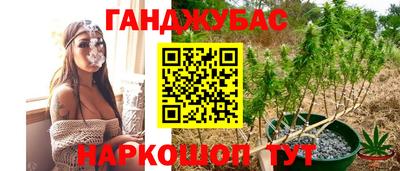 mdma Гай