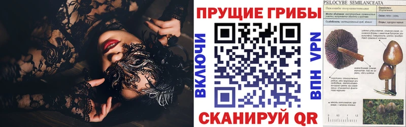 Псилоцибиновые грибы прущие грибы  kraken зеркало  Коряжма  нарко площадка телеграм  закладки 