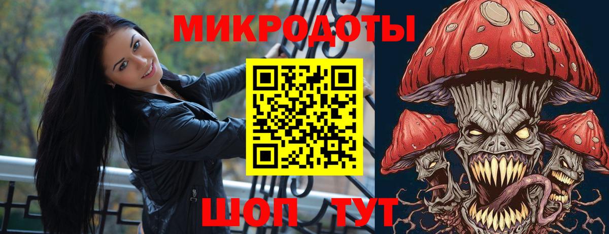 Галлюциногенные грибы Psilocybe  Вход с VPN  Коряжма 