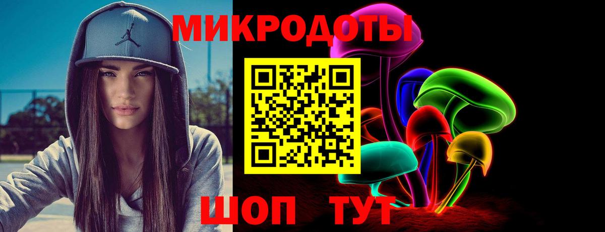 Псилоцибиновые грибы Psilocybine cubensis Коряжма